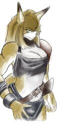  anthro belt big_breasts bottomwear breasts canid canine cleavage clothed clothing dora_systeel feda:_the_emblem_of_justice female fox loincloth mammal potira simple_background solo white_background 