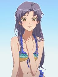  bare_shoulders bikini blue_hair brown_eyes commentary_request female idolmaster idolmaster_(classic) kisaragi_chihaya long_hair matsudo_aya midriff navel smile solo swimsuit vivid_bikini_(idolmaster) 