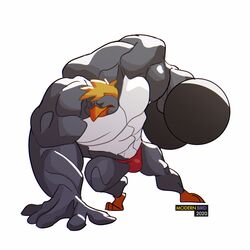  1:1 anthro avian bird bulge clothing exercise hi_res male modern_bird muscular penguin solo_focus speedo swimwear topless_male weightlifting workout 