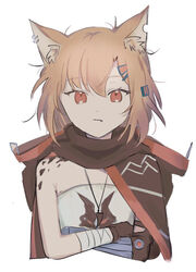  animal_ear_fluff animal_ears arknights bandaged_arm bandages bare_shoulders black_cape brown_hair cape closed_mouth commentary_request cropped_torso crossed_arms ear_piercing fang_out female hair_between_eyes hair_ornament hairclip hood hood_down hooded_cape inu_to_milk looking_at_viewer notched_ear oerba_yun_fang piercing prosthesis prosthetic_arm red_eyes shirt simple_background solo upper_body vermeil_(arknights) white_background white_shirt 