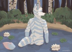  absurd_res anthro arctic_fox ass canid canine domestic_cat felid feline felis fox hi_res hybrid katanadog male mammal nature outside pond presenting presenting_hindquarters solo tabby_cat true_fox water zax_(zwalexan) 