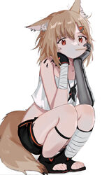  animal_ear_fluff animal_ears arknights bandaged_arm bandaged_leg bandages bare_shoulders black_footwear black_gloves black_shorts brown_hair commentary_request crop_top ear_piercing female gloves hair_between_eyes hair_ornament hairclip hands_up highres inu_to_milk knees_up looking_at_viewer midriff notched_ear piercing prosthesis prosthetic_arm puffy_shorts red_eyes shirt short_shorts shorts simple_background single_glove solo squatting strapless strapless_shirt tail toeless_footwear vermeil_(arknights) white_background white_shirt 