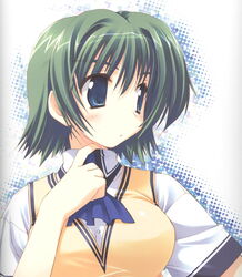  amazuyu_tatsuki ascot blue_ascot blue_eyes blush buttons comic_party female green_hair hair_between_eyes highres no_nose ooba_eimi scan school_uniform shirt short_hair short_sleeves solo sweater_vest white_shirt 