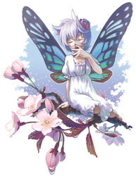  butterfly_wings cherry_blossoms commentary_request fairy female flower insect_wings open_mouth original purple_hair solo wings yawning yukihiko 