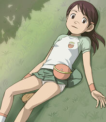  brown_eyes brown_hair clothes_lift dennou_coil female glasses grass haruyama_kazunori hashimoto_fumie long_hair lying oyaji_(dennou_coil) panties pencil_skirt raglan_sleeves skirt skirt_lift solo underwear 