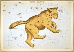  1825 19th_century absurd_res ambiguous_gender ancient_art bear brown_body brown_fur brown_tail claws constellation etching feral fur hi_res latin_text mammal public_domain quadruped sidney_hall simple_background solo star star_map tail text toe_claws traditional_media_(artwork) urania&#039;s_mirror ursa_major_(constellation) white_background 