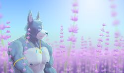  adastra adastra_(series) amicus_(adastra) anthro blue_eyes canid canine canis countershading echo_project grey_body hi_res jewelry lavender_(disambiguation) male mammal nipples solo thebarabandit wolf 