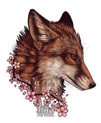  2015 ambiguous_gender black_nose canid canine cherry_blossom facial_markings flower fluffy fox fur head_markings headshot_portrait hi_res inner_ear_fluff johis looking_at_viewer mammal markings orange_body orange_fur plant portrait prunus_(flower) simple_background solo tuft whiskers white_background white_body white_fur 