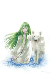  1boy androgynous barefoot commentary_request enkidu_(fate) fate/strange_fake fate_(series) green_eyes green_hair highres kneeling long_hair male_focus robe suizhiqi white_background wolf wolf_(fate) 