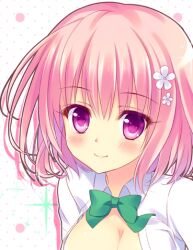  ameto_yuki bad_id bad_pixiv_id breasts cleavage female lowres medium_breasts momo_velia_deviluke photoshop_(medium) pink_eyes pink_hair short_hair solo to_love-ru 