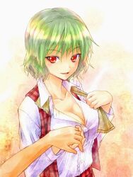  breasts cleavage commentary_request dress_shirt female green_hair holding_hands interlocked_fingers kazami_yuuka large_breasts looking_at_viewer open_clothes open_mouth open_shirt open_vest out_of_frame plaid plaid_vest pov pov_hands red_eyes ribbon shimada_(simada_bu) shirt short_hair skirt smile solo_focus touhou untied upper_body vest 