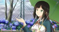  akinashi_yuu brown_hair copyright_name dated female flower green_eyes highres holding hydrangea koi_to_senkyo_to_chocolate long_hair school_uniform shinonome_satsuki solo translation_request umbrella watermark 