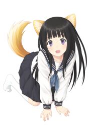  all_fours animal_ears black_hair blunt_bangs chitanda_eru commentary_request dog_ears dog_tail female hyouka kamiyama_high_school_uniform_(hyouka) kemonomimi_mode kuro_(chrono) long_hair looking_at_viewer open_mouth purple_eyes school_uniform serafuku simple_background smile socks solo tail watashi_kininarimasu white_background 