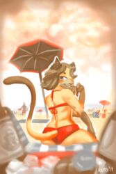  2019 2:3 alcohol beach beer beverage bikini blue_eyes clothing domestic_cat felid feline felis femboy hi_res liam_(wiess) looking_at_viewer looking_back male mammal seaside siamese sitting solo swimwear umbrella wiess 