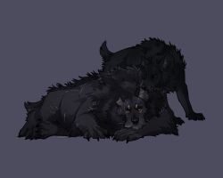  2026 5:4 bite black_body black_fur brown_eyes canid canine canis colored digital_drawing_(artwork) digital_media_(artwork) duo ear_bite feral fur g4rdwin grey_background lying male mammal mythological_canine mythological_creature mythology on_front on_ground raelhyn_farethi red_eyes resting scar shaded short_tail simple_background size_difference tail werecanid werecanine werecreature werewolf whisker_spots whiskers wolf 