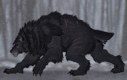  2025 absurd_res black_body black_fur black_mane blurred_background canid canine claws colored digital_media_(artwork) digital_painting_(artwork) feral forest fur hi_res hugtak inner_ear_fluff male mammal mane muscular muscular_feral mythological_canine mythological_creature mythology outside painting_(artwork) plant raelhyn_farethi red_eyes scar scratches shaded short_tail snow solo tail tailbutt tree tuft walking werecanid werecanine werecreature werewolf whisker_spots whiskers 