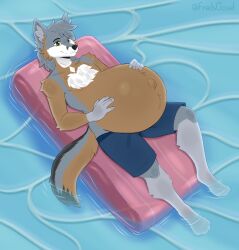  absurd_res anthro belly big_belly black_body black_fur black_nose blue_clothing blue_swimming_trunks blue_swimwear brown_body brown_fur canid canine chest_tuft clothed clothing english_description foot_in_water fox freddymartin fur green_eyes grey_body grey_fur grey_hair grey_inner_ear_fluff hair hand_on_belly hand_on_own_belly hi_res huge_belly humanoid_hands hyper hyper_belly hyper_pregnancy inner_ear_fluff looking_down looking_down_at_belly looking_down_at_self lying_on_pool_toy male mammal navel outie_navel pool_float pregnant pregnant_anthro pregnant_male solo stone_hunter_(astonedfox) swimming_pool swimming_trunks swimwear tail_in_water topless topless_anthro topless_male tuft white_body white_fur 