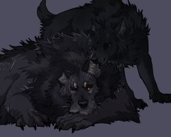  2026 5:4 bite black_body black_fur brown_eyes canid canine canis close-up colored digital_drawing_(artwork) digital_media_(artwork) duo ear_bite feral fur g4rdwin grey_background lying male mammal mythological_canine mythological_creature mythology on_front on_ground raelhyn_farethi red_eyes resting scar shaded short_tail simple_background size_difference tail werecanid werecanine werecreature werewolf whisker_spots whiskers wolf zoom_in 
