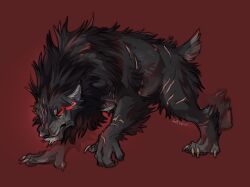  2025 black_body black_fur black_nose canid canine claws colored digital_drawing_(artwork) digital_media_(artwork) feral fur furrowed_eyebrows g4rdwin hi_res male mammal mane muscular muscular_feral mythological_canine mythological_creature mythology raelhyn_farethi red_background scar shaded short_tail simple_background solo tail walking werecanid werecanine werecreature werewolf 