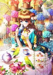  aile_(crossroads) bad_id bad_pixiv_id bird black_tea blue_eyes brown_hair cockatoo cup double_bun dress female flower flower_pot food hair_bun hair_flower hair_ornament hydrangea long_hair macaron original parakeet parrot plant potted_plant puffy_sleeves short_sleeves smile solo sulphur-crested_cockatoo table tablecloth tea teacup teapot tiered_tray 