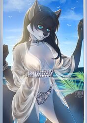  absurd_res anthro beach black_hair blue_eyes breasts clothing female gem hair hi_res jewelry mammal panties procyonid raccoon seaside sila_dione solo translucent translucent_clothing underwear yuichi-tyan 