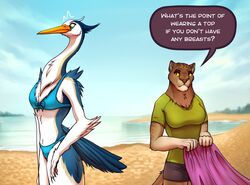  2019 5_fingers anthro avian beach beak bird blue_body blue_feathers breasts clothed clothing day detailed_background dialogue digital_media_(artwork) emanata english_text eyebrows eyelashes feathers felid feline female fingers fur mammal non-mammal_breasts offended outside sand seaside shoreline sky speech_bubble tenynn text water yellow_sclera 