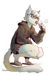  absurd_res animal_crossing anthro candy clothed clothing dessert domestic_cat eyewear felid feline felis flip_flops food footwear fur goatdraw hair heterochromia hi_res holding_object hoodie lollipop male mammal nintendo raymond_(animal_crossing) sandals simple_background solo topwear 