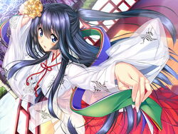  amakano black_hair blue_eyes blush breasts cleavage female flower game_cg hair_flower hair_ornament large_breasts long_hair looking_at_viewer miko open_mouth piromizu ponytail takayashiro_sayuki 