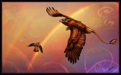  2008 abstract_background ambiguous_gender avian beak bird black_markings blue_eyes brown_body brown_feathers double_rainbow duo falcon falconid feathered_wings feathers feral flying grey_beak grey_body grey_feathers gryphon kestrel looking_back markings mythological_avian mythological_creature mythology novawuff rainbow red_body red_feathers tail tail_feathers tail_tuft tuft wings 