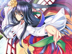  amakano black_hair blue_eyes blush breasts cleavage female flower game_cg hair_flower hair_ornament large_breasts long_hair looking_at_viewer miko piromizu ponytail takayashiro_sayuki 