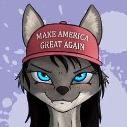  1:1 2016 anthro black_hair blue_eyes blush canid canine clothing digital_media_(artwork) english_text eyelashes female fox freckles hair hat headgear headwear inner_ear_fluff long_hair looking_at_viewer maga_hat make_america_great_again mammal politics portrait simple_background smile solo taliesin-the-dragoon text text_on_clothing text_on_hat text_on_headwear tuft 