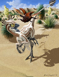  2010 ambiguous_gender arthropod atrociraptor avian_feet beak beetle biped brown_body brown_exoskeleton brown_feathers chasing claws cliff cloud curious desert digital_media_(artwork) digital_painting_(artwork) dinosaur dromaeosaurid duo elytron exoskeleton extinct feathered_dinosaur feathered_scalie feathered_wings feathers feet feral flying footprint grey_beak grey_claws grey_tongue hi_res insect_wings insects light lighting long_tail looking_at_another mandibles motion_blur multi_leg multi_limb multicolored_body multicolored_feathers open_beak open_mouth open_smile outside plant prehistoric_species psithyrus raised_leg reptile rhinoceros_beetle running scalie scarabaeid shadow sharp_teeth shrub signature size_difference sky smile spread_wings stare tail tail_feathers talons teeth theropod toe_claws toes tongue toothed_beak two_tone_body two_tone_feathers white_body white_feathers wide_eyed winged_arms wings yellow_eyes young young_feral 