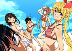  5girls beach bikini bikini_skirt black_eyes black_hair blonde_hair blue_eyes breasts brown_eyes brown_hair commentary_request day glasses grin kirisaki_chitoge long_hair long_legs medium_breasts megumegu_hosi_117 miyamoto_ruri multiple_girls nisekoi onodera_kosaki ponytail short_hair smile swimsuit tachibana_marika tsugumi_seishirou wardrobe_malfunction 