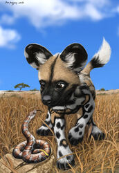  2013 4_toes african_wild_dog ambiguous_gender black_body black_fur black_markings black_nose black_spots black_tail black_tongue blep brown_body brown_eyes brown_fur brown_scales brown_spots brown_tail canid canine claws cloud curious digital_media_(artwork) digital_painting_(artwork) duo eye_contact eye_markings facial_markings feet feral forked_tongue fur grass head_markings hi_res inner_ear_fluff light lighting looking_at_another looking_down looking_up mammal markings mask_(marking) multicolored_body multicolored_fur multicolored_scales multicolored_tail muzzle_(marking) nature no_sclera outside plant psithyrus quadruped reptile rock savanna scales scalie serpentine shadow shrub signature size_difference sky smile snake snout snout_markings spots spotted_body spotted_fur tail toe_claws toes tongue tongue_out tree tuft white_body white_fur white_scales white_spots white_tail yellow_body yellow_scales young young_feral 