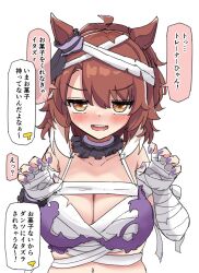  animal_ears bandages black_choker breasts brown_hair choker cleavage commentary_request cosplay dantsu_flame_(umamusume) female frilled_choker frills gryebooks highres horse_ears horse_girl large_breasts looking_at_viewer multicolored_hair official_alternate_costume open_mouth simple_background solo super_creek_(chiffon_ribbon_mummy)_(umamusume) super_creek_(umamusume) super_creek_(umamusume)_(cosplay) translation_request two-tone_hair umamusume upper_body white_background white_hair 