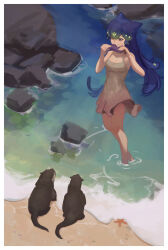  absurdres bao_the_whale beach blue_hair commentary dotr_art dress female foam from_above glowing_markings grey_dress halter_dress halterneck highres holding_ocarina indie_virtual_youtuber instrument long_hair ocarina ocean orange_eyes otter playing_instrument rock short_dress standing starfish untranslatable_commentary very_long_hair wading whale_girl white_background 