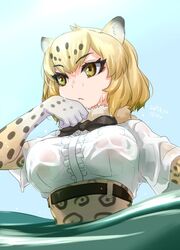  ajino_(sakanahen) animal_ears black_bow black_bowtie blue_sky bow bowtie breasts commentary_request dated day female fur_collar half-closed_eyes jaguar_(kemono_friends) jaguar_ears jaguar_print kemono_friends large_breasts looking_to_the_side outdoors partially_submerged see-through short_hair short_sleeves sky solo upper_body wet wet_clothes yellow_eyes 