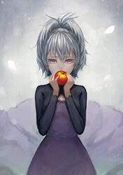  apple bryanth commentary_request darker_than_black dress female food fruit grey_hair hair_tie highres holding looking_at_viewer photoshop_(medium) ponytail purple_eyes solo yin_(darker_than_black) 