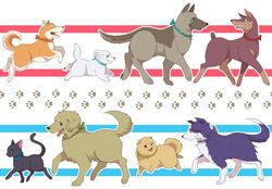  animal animal_focus animalization aqua_eyes bad_id bad_pixiv_id blue_eyes border_collie canine dobermann feline free! german_shepherd glasses golden_retriever green_eyes hazuki_nagisa matsuoka_rin mikoshiba_momotarou nanase_haruka_(free!) nitori_aiichirou no_humans odd_one_out paw_print photoshop_(medium) pink_eyes pomeranian_(dog) red_eyes ronisuke ryuugazaki_rei shiba_inu tachibana_makoto walking yamazaki_sousuke 