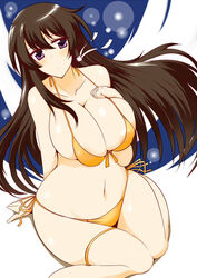  bikini breasts brown_hair curvy female female huge_breasts long_hair muvluv muvluv_alternative muvluv_total_eclipse navel purple_hair sitting solo string_bikini swimsuit takamura_yui wedge yellow_bikini 