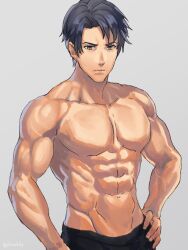  1boy abs black_hair fire_emblem fire_emblem:_path_of_radiance fire_emblem:_radiant_dawn hand_on_own_hip hashiko_(neleven) large_pectorals looking_at_viewer male_focus muscular muscular_male navel pectorals short_hair solo topless_male upper_body zelgius_(fire_emblem) 