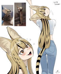  180_head_tilt absurdres animal_ears ass black_choker black_eyes cat_girl choker creature_and_personification crop_top cropped_shirt female full_body gegegekman highres long_hair long_sleeves midriff multicolored_hair navel oerba_yun_fang open_mouth original pants personification photo_inset reference_inset serval serval_gf_(gegegekman) shirt simple_background smile tail teeth white_background 