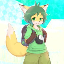  1:1 abstract_background anthro backpack bottomwear canid canine clothed clothing concon-collector fox gosounokitsune_sonhaku green_hair hair hoodie kakuteki11029 looking_at_viewer male mammal official_art shorts simple_background solo topwear yin_yang young young_anthro 