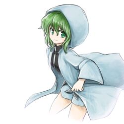  1other androgynous anmita_(rarutos) green_eyes green_hair highres hood hooded_jacket hoodie jacket len&#039;en md5_mismatch necktie other_focus puffy_pants puffy_shorts shitodo_aoji short_hair shorts smile solo 