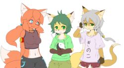  anthro armband blush bottomwear braided_hair breasts canid canine chest_tuft clothing collar concon-collector dawnlight_fox_gekka female fox gosounokitsune_sonhaku group gyoukounokitsune_sousou hair hoodie japanese_text kakuteki11029 male mammal midriff multi_tail pants ponytail shirt shorts simple_background tail tank_top text topwear translated tuft white_background yin_yang young young_anthro 