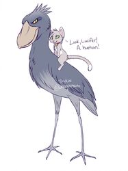  ambiguous_gender avian beak bird collar domestic_cat duo felid feline felis feral fur green_eyes grey_body grey_fur hi_res looking_at_viewer mammal pelecaniform shoebill simple_background smile standing taykoe white_background yellow_eyes 