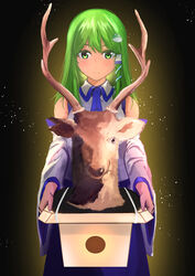  antlers bad_id bad_twitter_id bare_shoulders blue_skirt blush box closed_mouth cowboy_shot detached_sleeves expressionless female frog_hair_ornament gradient_background green_eyes green_hair hair_ornament hair_tubes highres holding holding_box horns kochiya_sanae light_particles long_hair long_sleeves looking_at_viewer sen_(daydream_53) shirt simple_background skirt solo taxidermy touhou white_shirt wide_sleeves wing_collar 