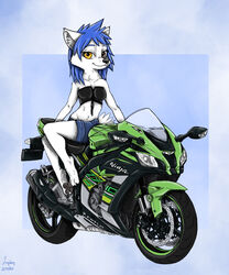  2020 anthro arctic_fox bad_guy_cafe blue_hair brown_eyes canid canine female fox fur hair hi_res kawasaki kawasaki_ninja looking_at_viewer mammal mia_(smneff) motorcycle pawpads shattered_spine simple_background solo true_fox vehicle white_body white_fur yellow_eyes ziegelzeig 