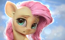  16:10 2020 assasinmonkey digital_media_(artwork) digital_painting_(artwork) equid equine eyebrows eyelashes female feral fluttershy_(mlp) friendship_is_magic fur hasbro looking_at_viewer mammal my_little_pony signature solo widescreen 