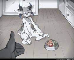  2022 3_fingers 3_toes anthro bell_pepper blue_eyes bowl carrot chest_tuft claws container detailed_background dragon drawers duo feet fingers first_person_view floor food fruit fur grey_body grey_fur hi_res horn human human_pov kitchen looking_at_another looking_at_viewer male mammal mbf-p02 mythological_creature mythological_scalie mythology open_hand pepper_(fruit) plant potato pov_hands scalie sitting solo_focus tail toes tongue tongue_out tuft vegetable white_body white_fur wood wood_floor 